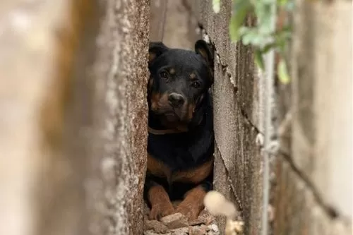Foto: Corpo de Bombeiros/Divulgação