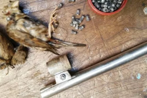 Imagem ilustrativa/ Arma usada em abate de pássaros/ Reprodução internet