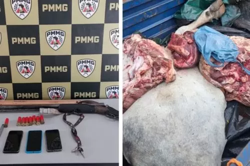 Material apreendido pela PM — Foto: Polícia Militar/Divulgação