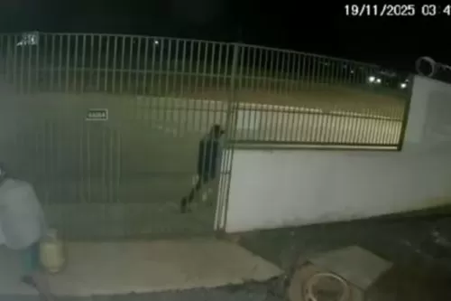 Ação foi registrada por câmera de segurança — Foto: Reprodução vídeo