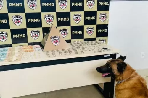 Material apreendido pela PM — Foto: Polícia Militar/Divulgação