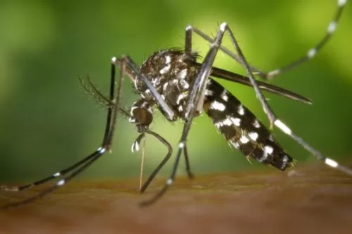 Imagem ilustrativa/ Reprodução internet