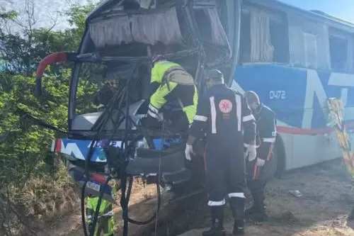 Acidente entre dois ônibus foi registrado na BR-251 — Foto: Samu/Divulgação
