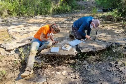 Flávia Fialho coletando amostras nos folhelhos papiráceos, formações rochosas da Bacia de São Francisco/ Foto: Arquivo pessoal