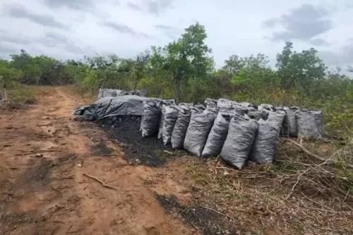 Trio é Preso por Furto de Madeira em Rio Pardo de Minas na terça-feira (9)