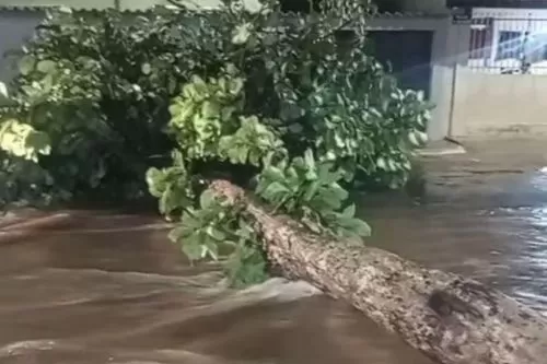 Foto: Ilustrativa/ Reprodução redes sociais