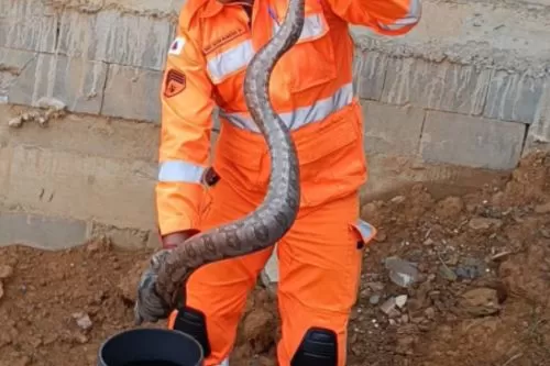 Foto: Reprodução @bombeirostresmarias