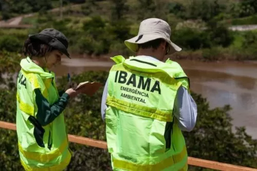Imagem ilustrativa IBAMA/ Reprodução internet