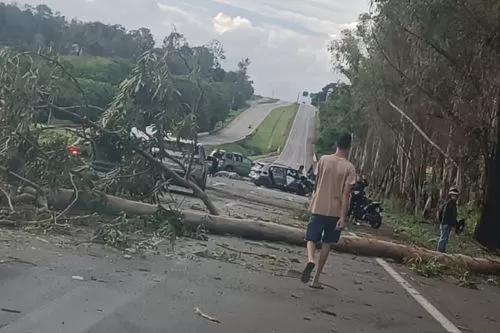Colisão com árvore gera morte na BR-040 em Curvelo