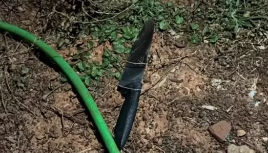 Crime ocorreu na Zona Rual de Unaí/Foto: Reprodução Intenert/PMMG