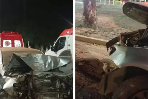Carro bateu em uma árvore na Avenida Governador Magalhães Pinto — Foto: Montagem/g1
