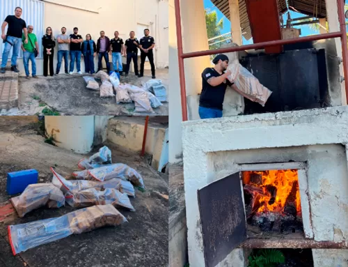 Drogas sendo incineradas em Buenópolis. Foto: 14º Dept. PCMG.