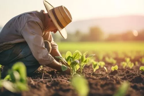 SPRCorinto abre calendário de 2026 com 36 cursos gratuitos de formação profissional