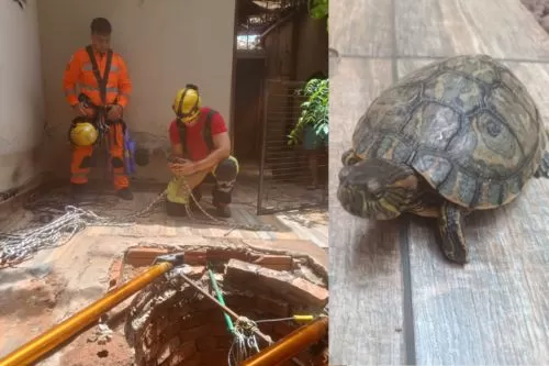 Foto: Corpo de Bombeiros/Divulgação