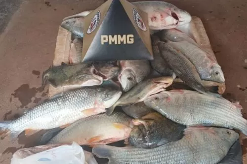 Polícia Ambiental flagra pesca ilegal na represa de Três Marias e aplica mais de R$ 24 mil em multas