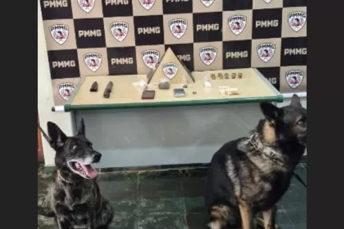 Foto: PMMG/Divulgação