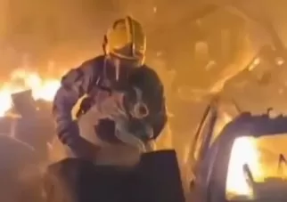 VÍDEO: Cadela é resgatada ilesa durante incêndio de grandes proporções em MG