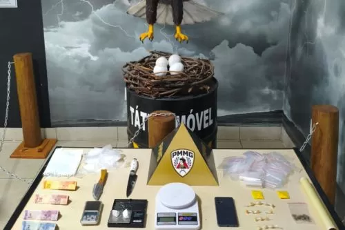 Foto: PMMG/Divulgação