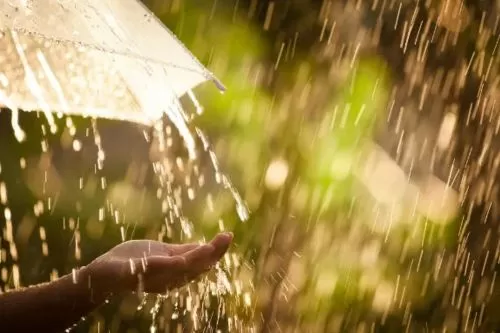 Imagem ilustrativa/ Reprodução internet