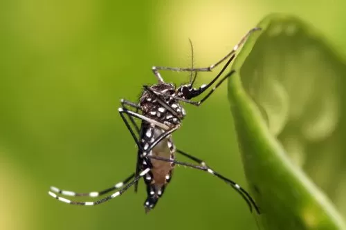 Imagem ilustrativa/ Reprodução internet