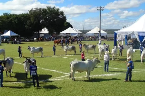 Expo Curvelo 2026 promete movimentar o agronegócio com leilões, rodeio e shows