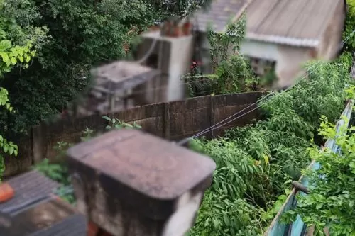 Foto: Reprodução Redes Sociais