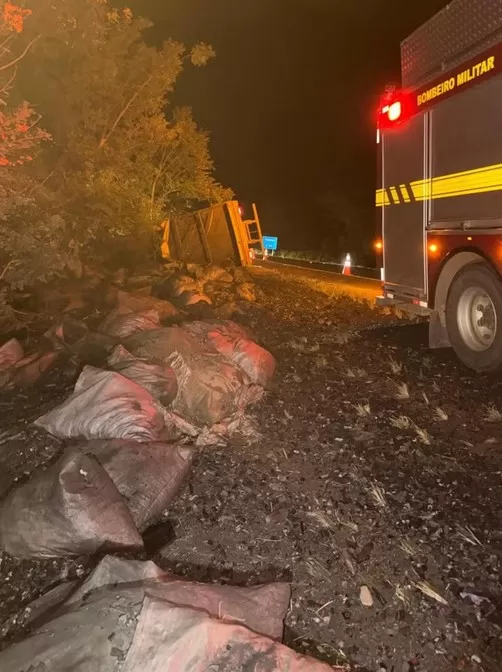 BR-135: Caminhão carregado com carvão tomba e motorista morre em Minas Gerais