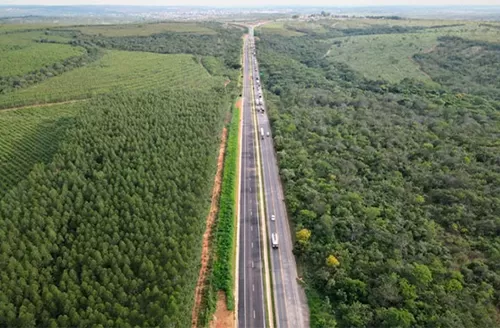 Imagem ilustrativa/Eco-135