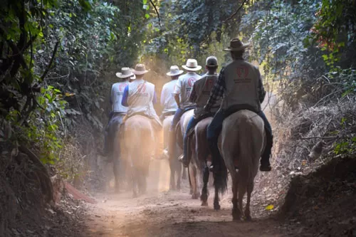 Imagem ilustrativa/ABCCMM