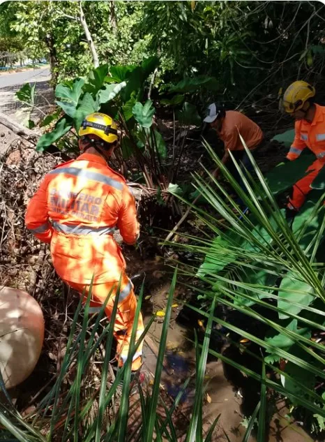 Foto: Rerprodução Internet/CBMMG