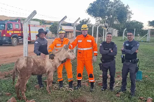 Bombeiros salvam jumento preso em bueiro de 2,5 metros, em Francisco Sá, na tarde desta terça-feira (7)