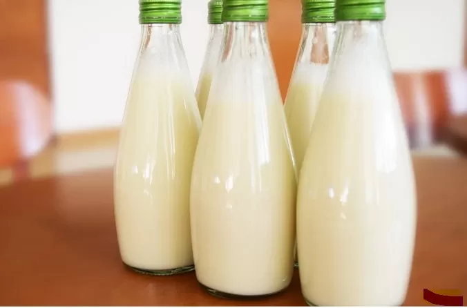 O leite de vaca oferece aproximadamente 8 gramas de proteína por copo de 200ml/Foto: Reprodução Internet