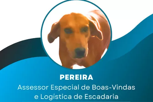 Foto: reprodução/redes sociais