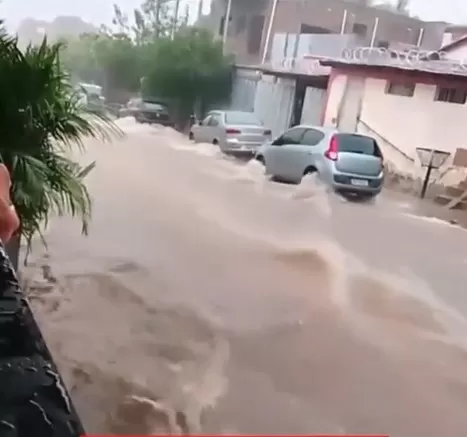 Reprodução Internet