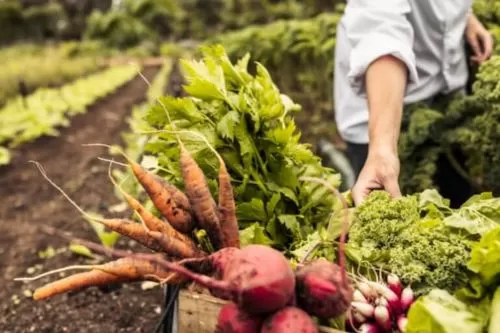 Imagem ilustrativa/ Reprodução internet