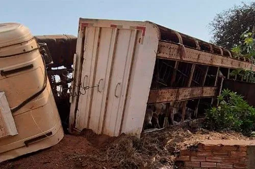 Foto: ilustrativa /reprodução internet