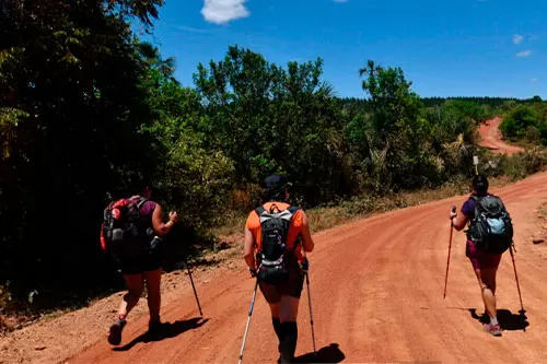 Foto: Acervo Caminhos de Rosa /Nereu Jr.