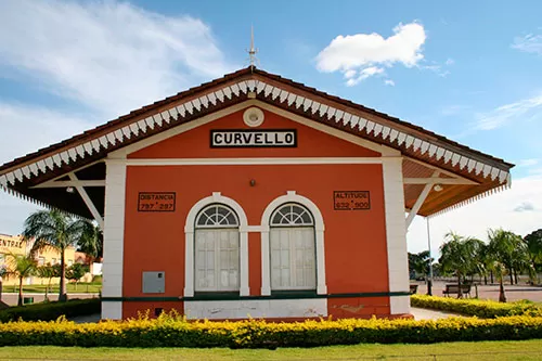 Foto: ilustrativa /reprodução internet