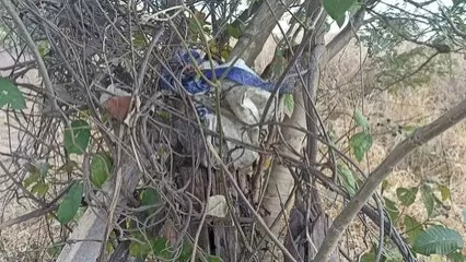 Suspeito, de 23 anos, foi preso após a família desconfiar do crime e acionar advogados/Foto: Reprodução Internet