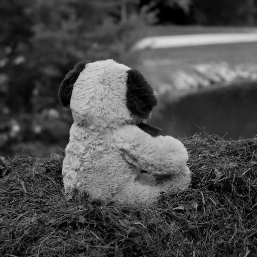 Foto: reprodução internet/JP Agora 