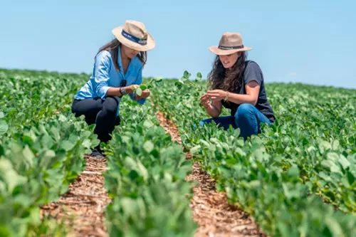 Foto: ilustrativa /reprodução internet