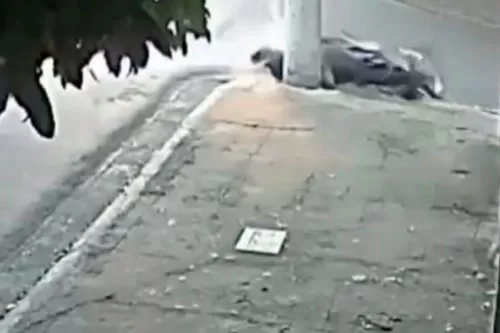 Foto: reprodução redes socias 