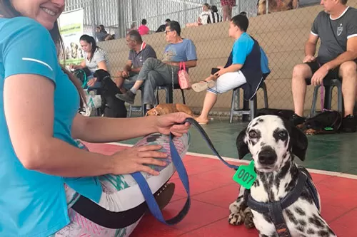 Foto: Prefeitura de Curvelo 