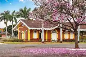 Foto: ilustrativa /reprodução internet