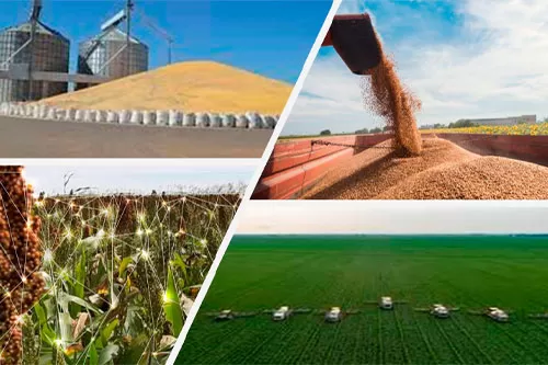 Foto: ilustrativa /reprodução internet