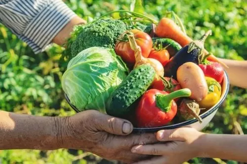 Praça da Serra do Cipó recebe Feira da Agricultura Familiar no sábado (11)