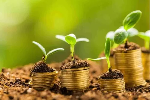 Felixlândia promove Jornada Técnica voltada ao fortalecimento da produção rural no próximo dia 24 de julho