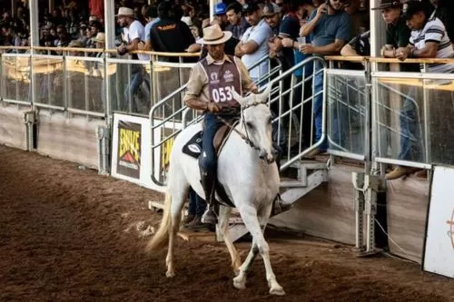 Foto: Cavalo Mangalarga Marchador durante exposição nacional da raça/Foto ilustrativa: Vinícius Oliveira Reprodução/internet