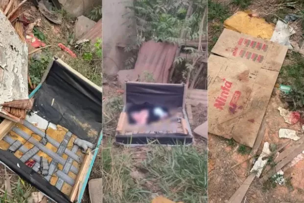 Recém-nascido é encontrado por cachorros com vida dentro de resto de sofá em lote vago mo interior de MG