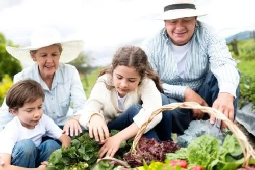 Feira dos Produtores Rurais de Cordisburgo acontece em 6 de setembro